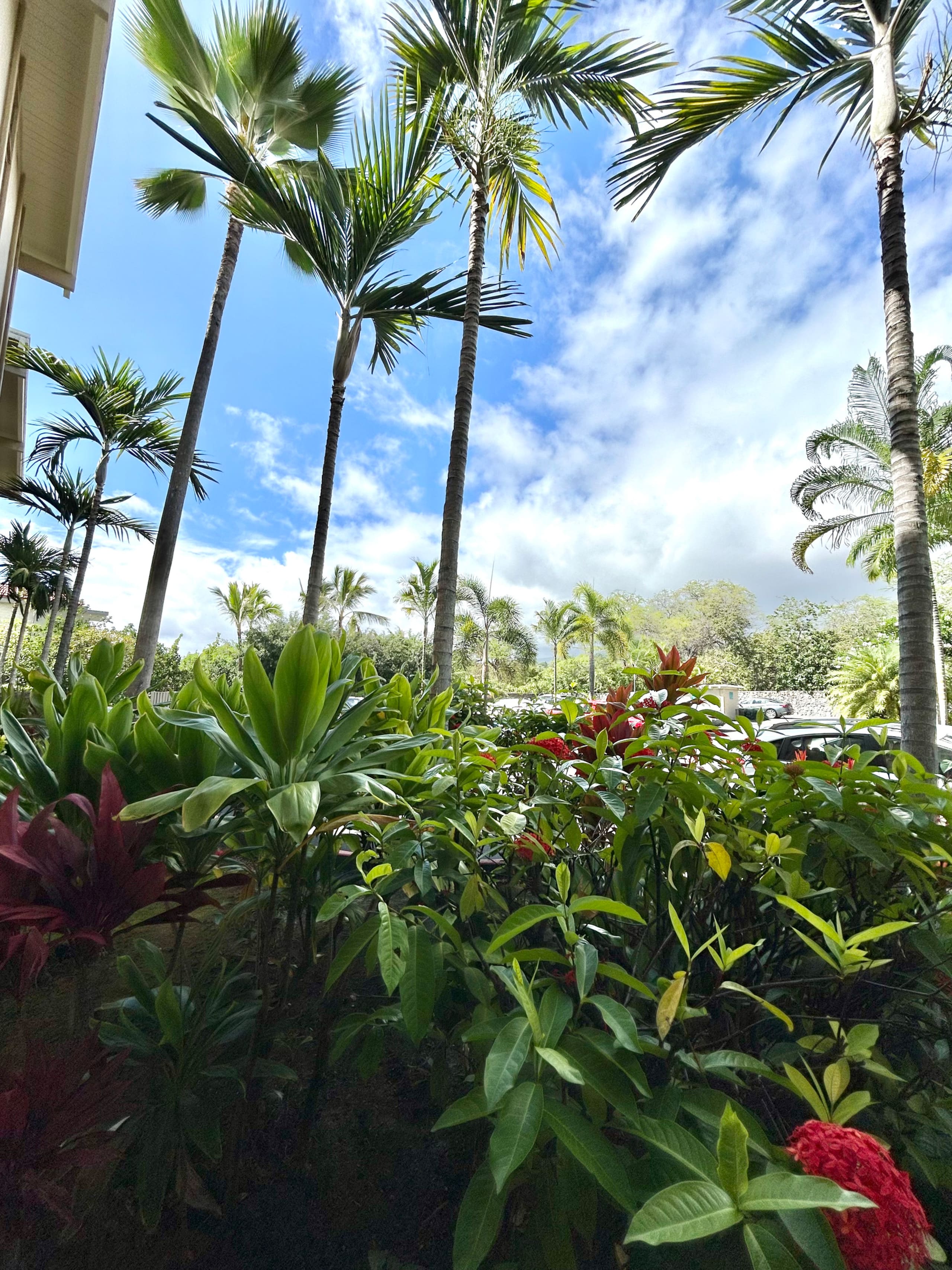 Condo in Kailua-Kona · ★4.91 · Studio · 1 bed · 1 bath - Image 21