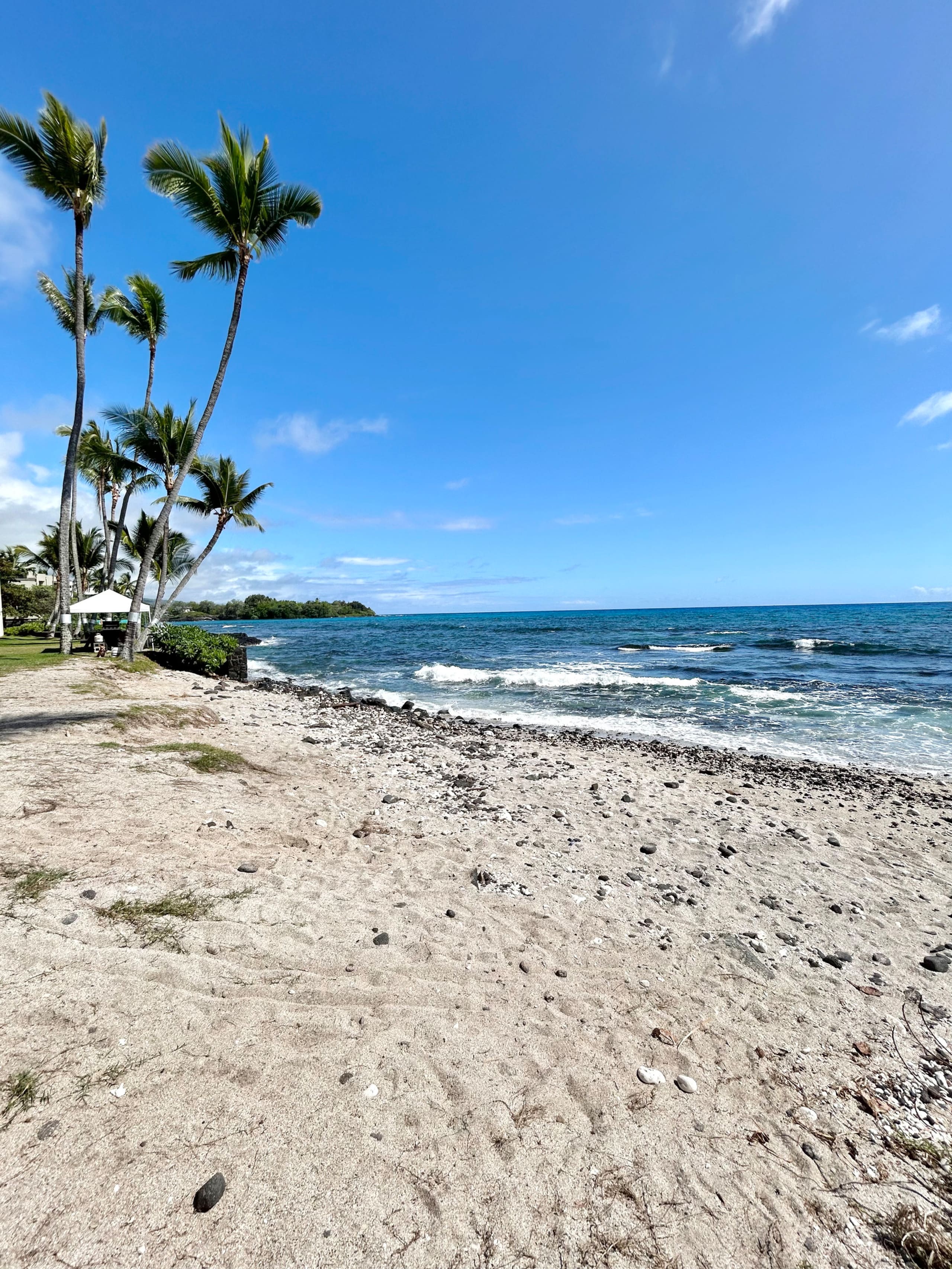Condo in Kailua-Kona · ★4.91 · Studio · 1 bed · 1 bath - Image 23