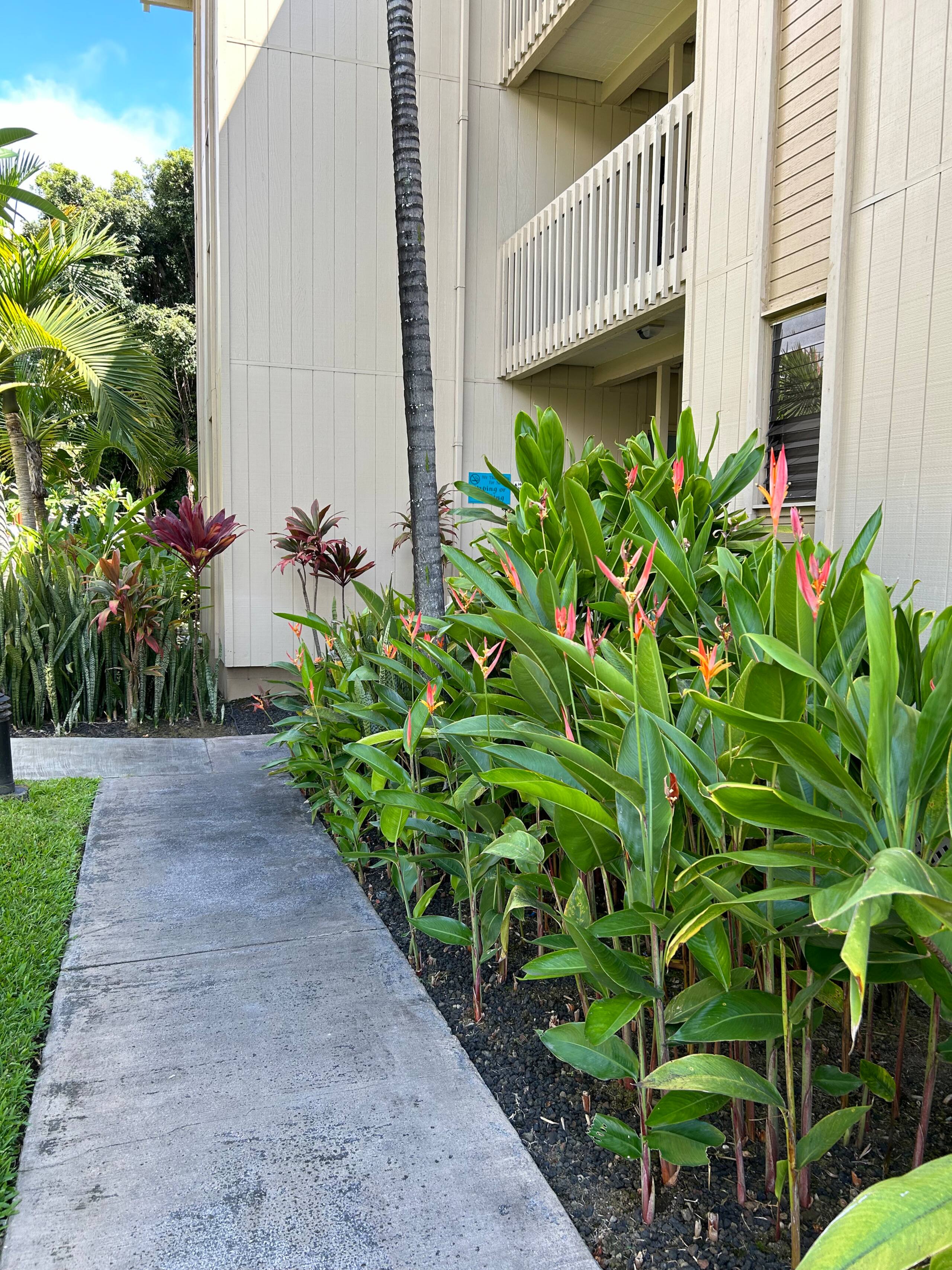 Condo in Kailua-Kona · ★4.91 · Studio · 1 bed · 1 bath - Image 19