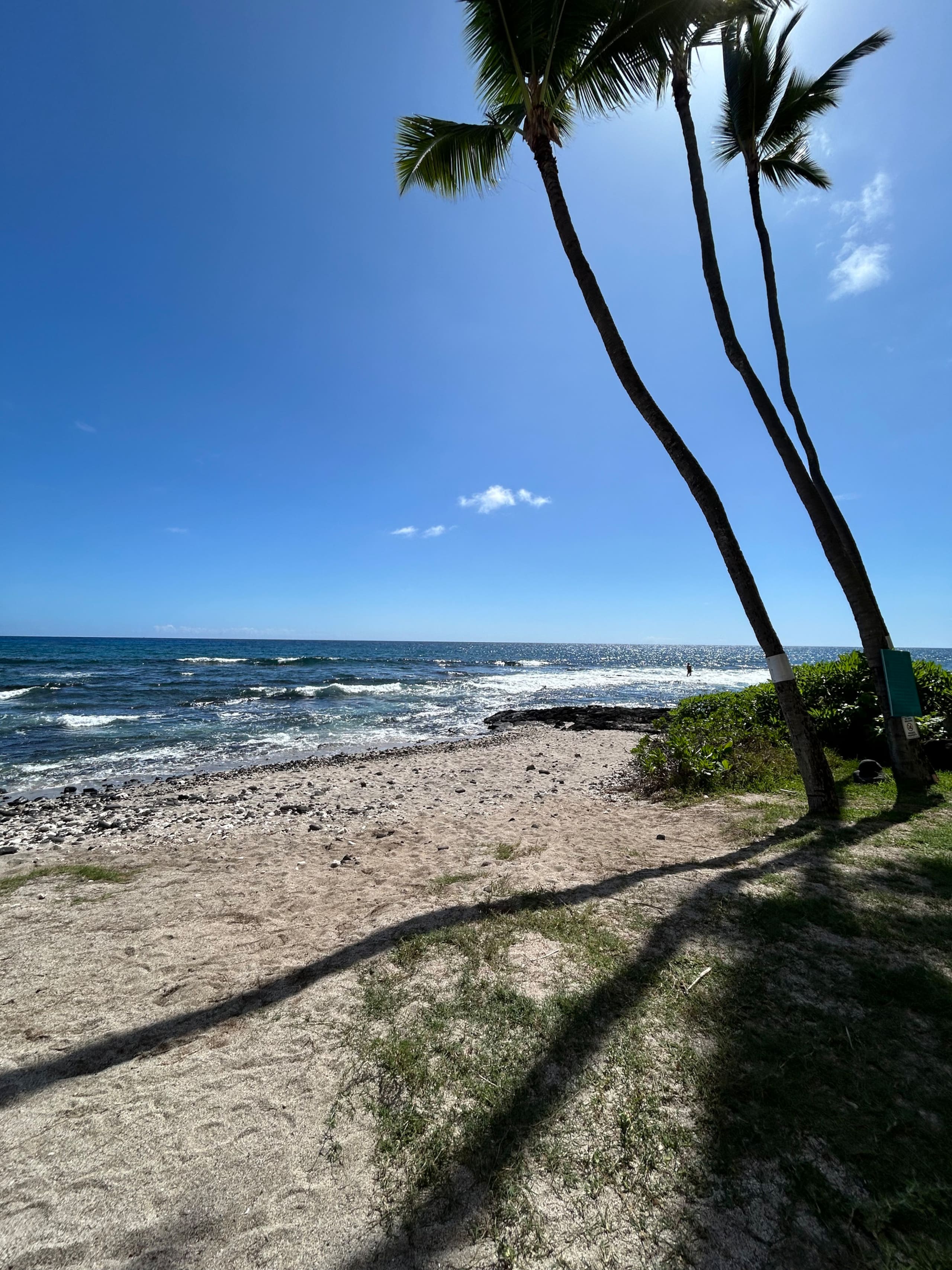 Condo in Kailua-Kona · ★4.91 · Studio · 1 bed · 1 bath - Image 52