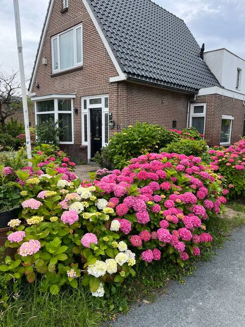 Woning
Buitenhof near Leiden-Katwijk a Zee