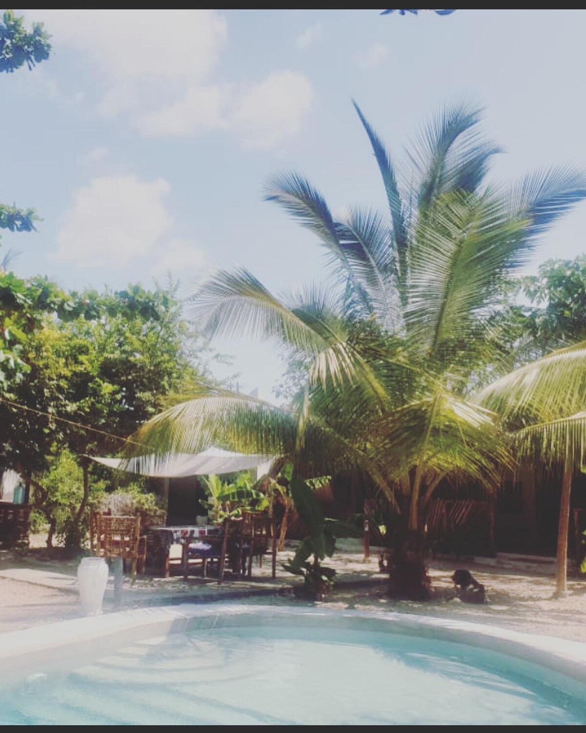 A clear view of the inviting pool surrounded by lush greenery. Tall palm trees offer shade, while outdoor furniture is positioned nearby for relaxation. The bright sky complements the serene garden atmosphere, creating an ideal spot for leisure and comfort.