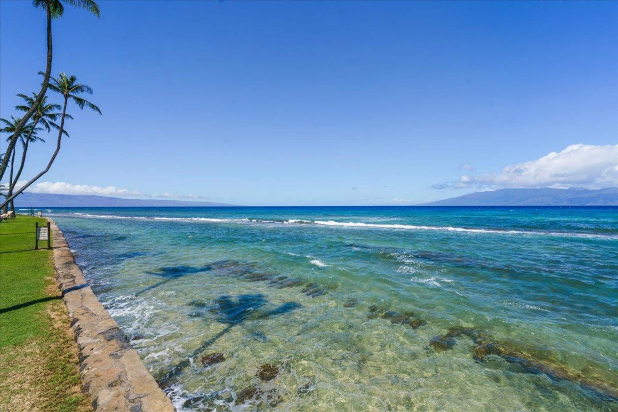 Condo in Lahaina · ★4.93 · 1 bedroom · 2 beds · 1 private bath - Image 47