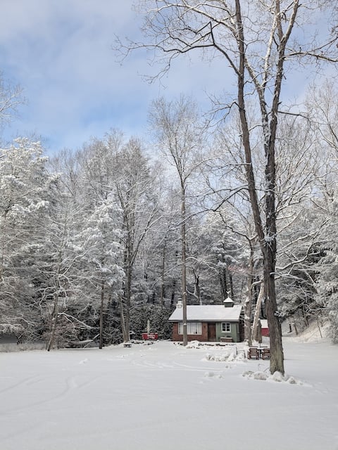 Cosy cabin on small stream in the woods of Milford