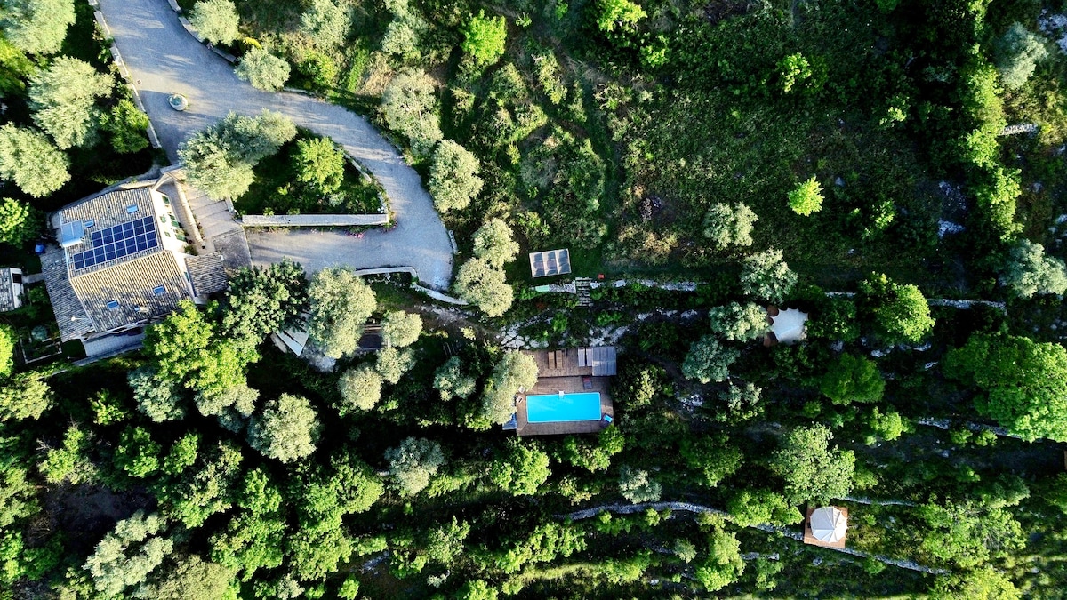 An aerial view shows Ananda Villa nestled among lush greenery, with a sparkling pool visible adjacent to the villa. The surrounding land features a mixture of olive trees and Mediterranean plants, creating a serene outdoor environment. Pathways are subtly outlined, leading through the abundant landscape.