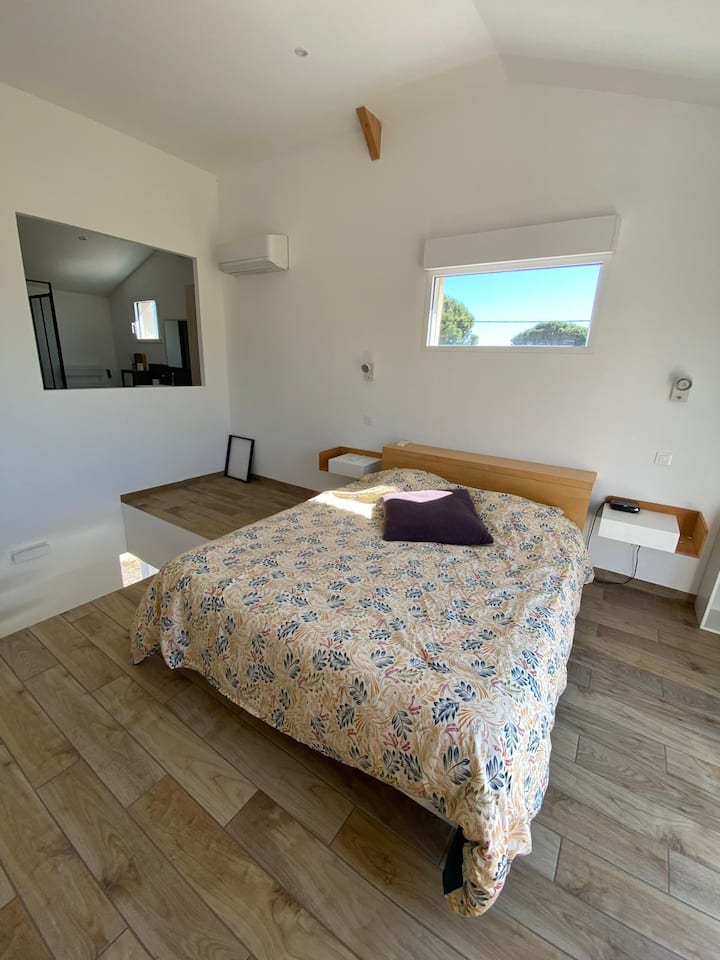 Habitación 1