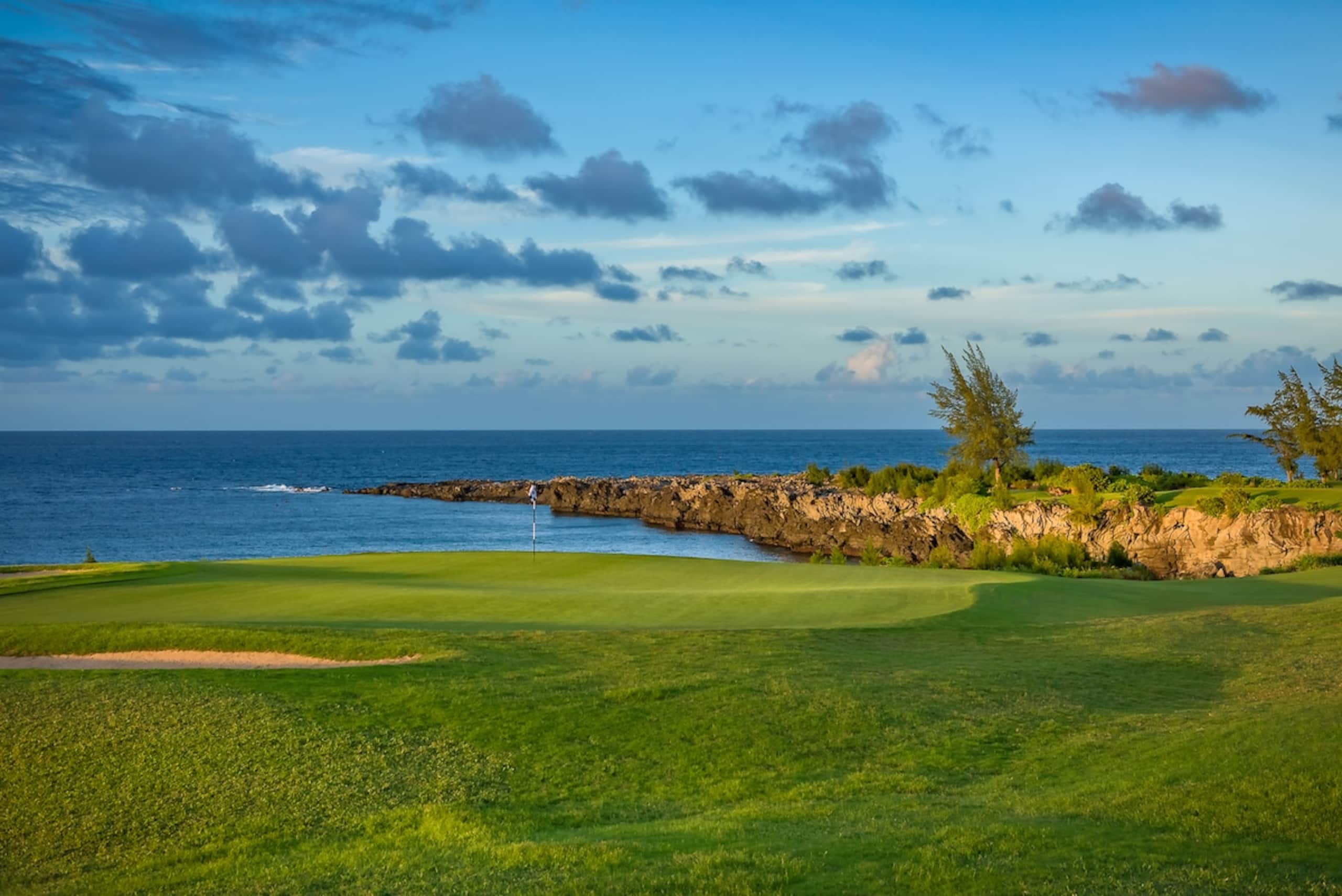 Villa in Lahaina · ★4.9 · 1 bedroom · 2 beds · 2 baths - Image 53