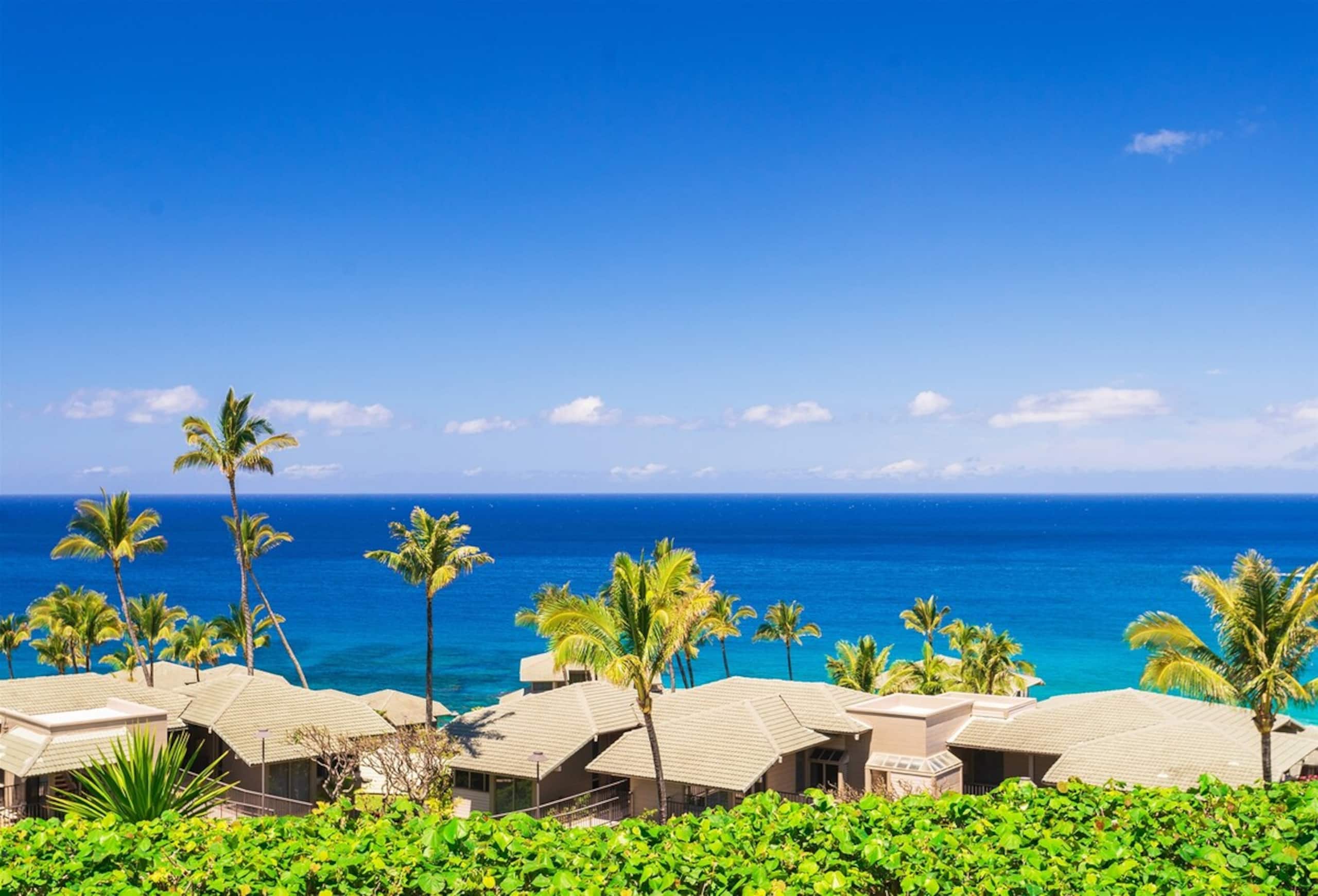 Villa in Lahaina · ★4.9 · 1 bedroom · 2 beds · 2 baths - Image 18