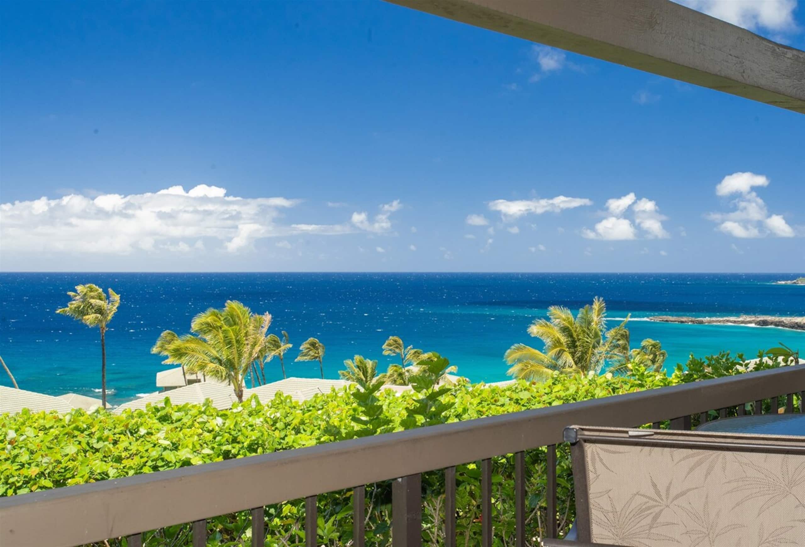 Villa in Lahaina · ★4.9 · 1 bedroom · 2 beds · 2 baths - Image 15
