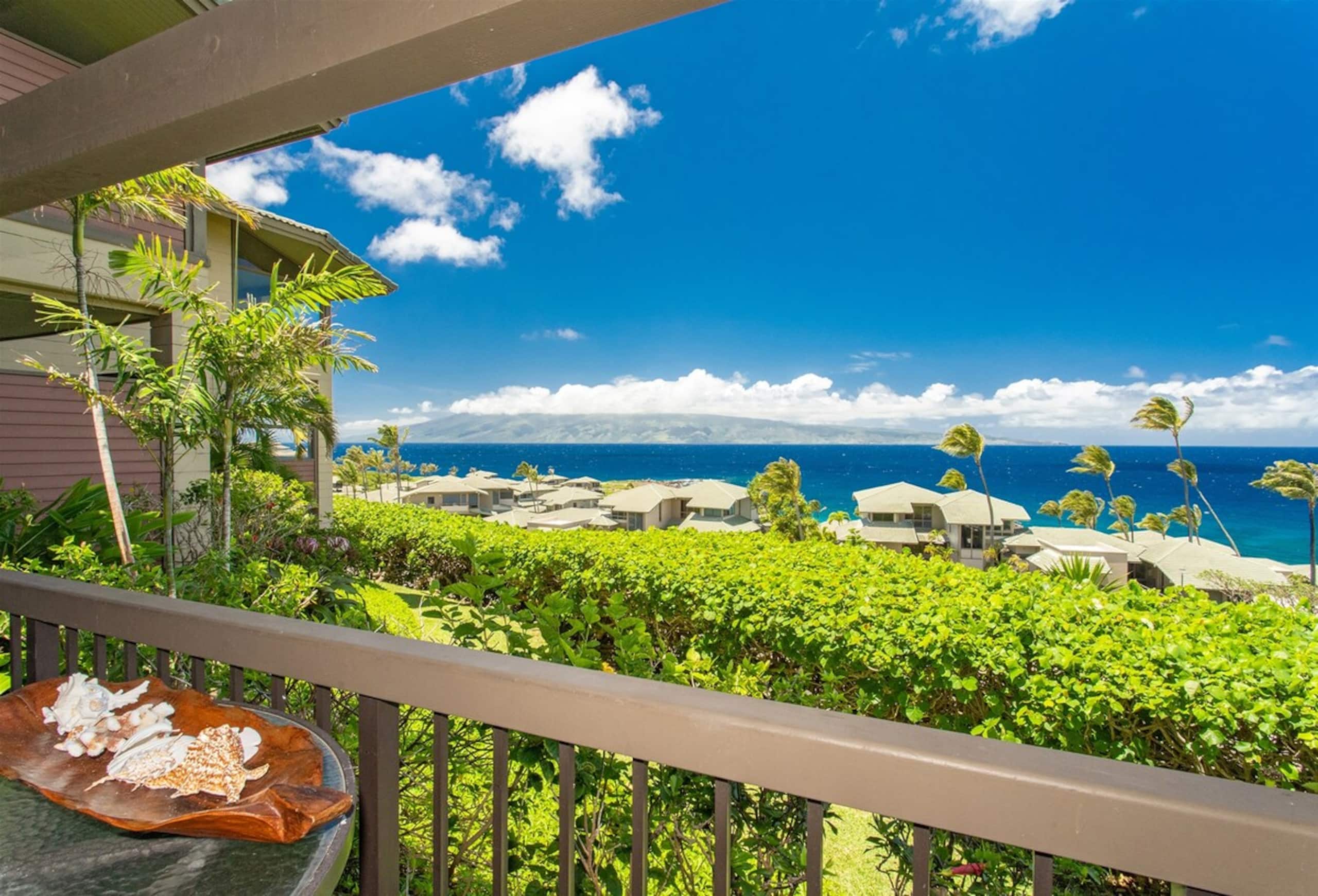 Villa in Lahaina · ★4.9 · 1 bedroom · 2 beds · 2 baths - Image 11
