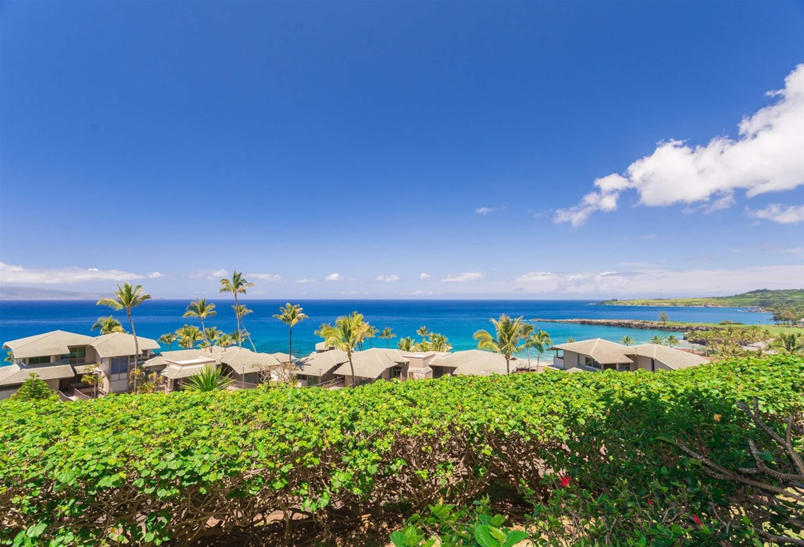 Villa in Lahaina · ★4.9 · 1 bedroom · 2 beds · 2 baths - Image 17