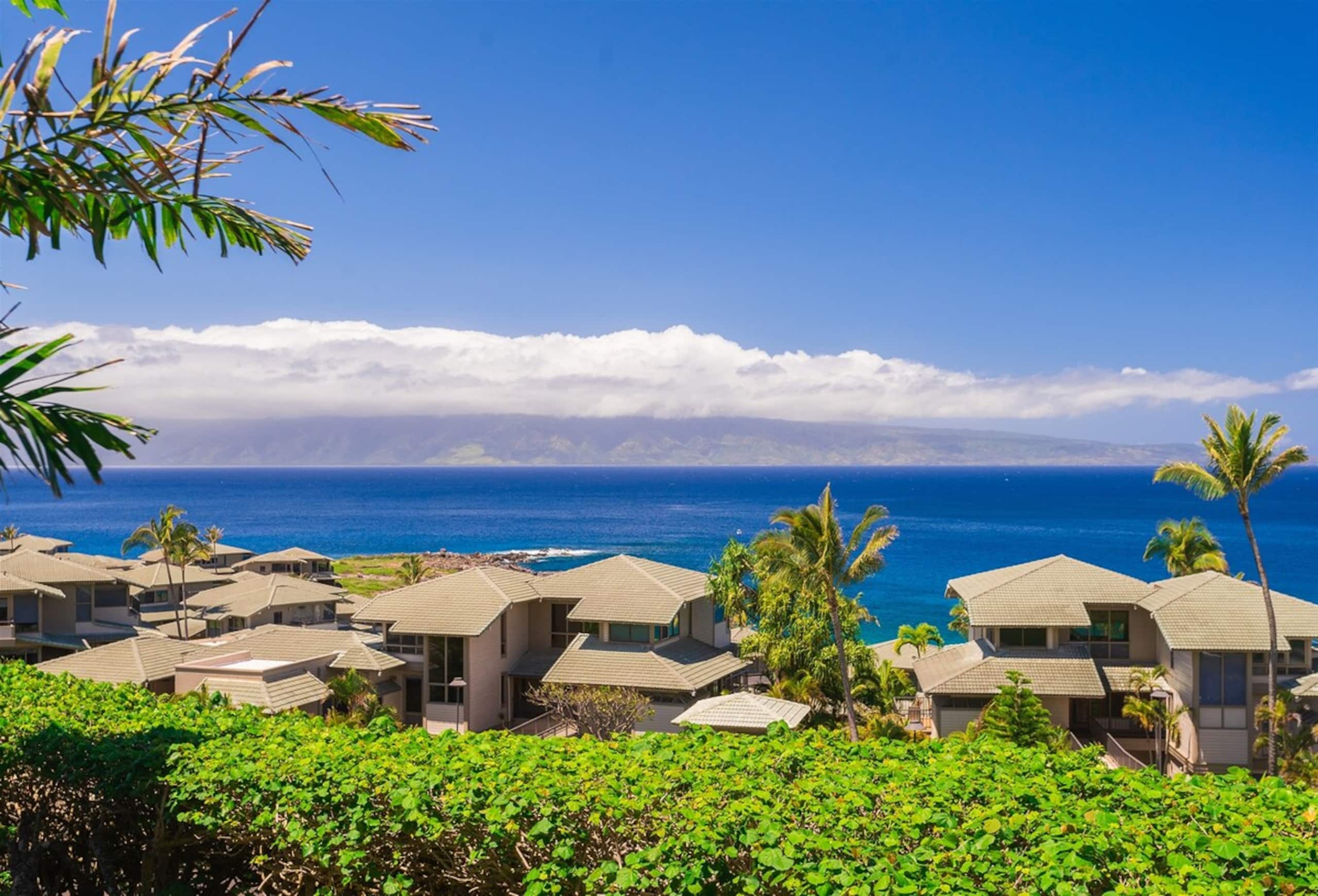 Villa in Lahaina · ★4.9 · 1 bedroom · 2 beds · 2 baths - Image 14