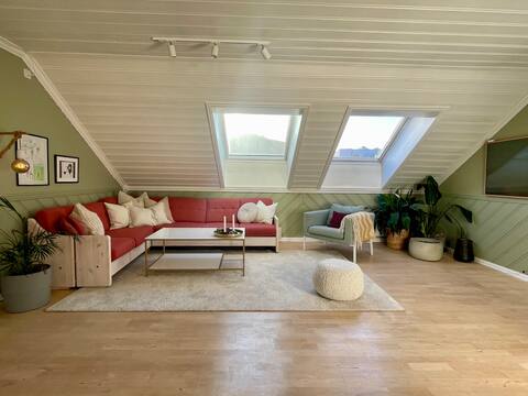 Spacious, bright and downtown Halden penthouse