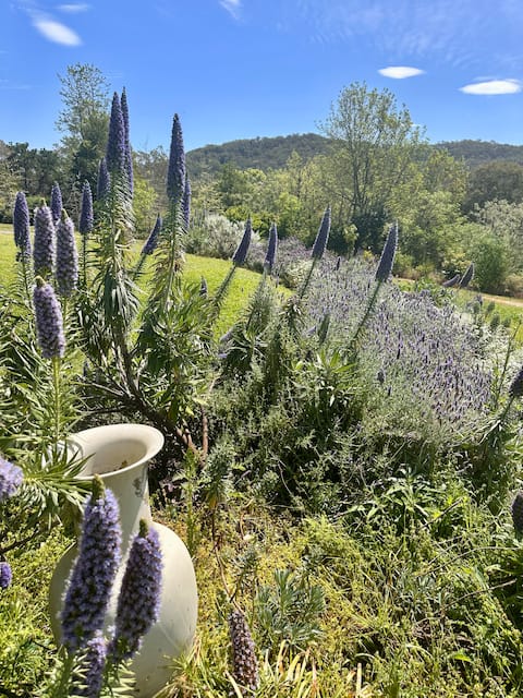 Wollombi Country House & Gardens