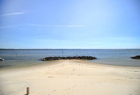 Beach Heron Retreat