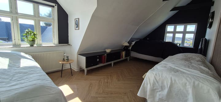 Dos camas individuales + una cama tamaño king (capacidad para 4 personas en total)