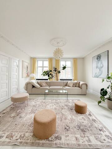 Big modern luxury flat in the middle of Copenhagen