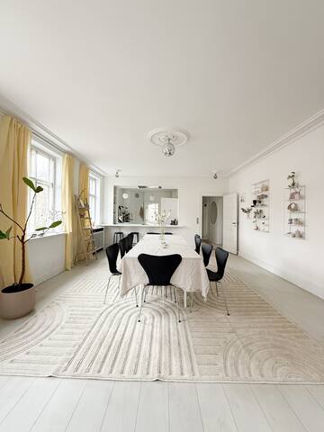 Big modern luxury flat in the middle of Copenhagen gallery image 3