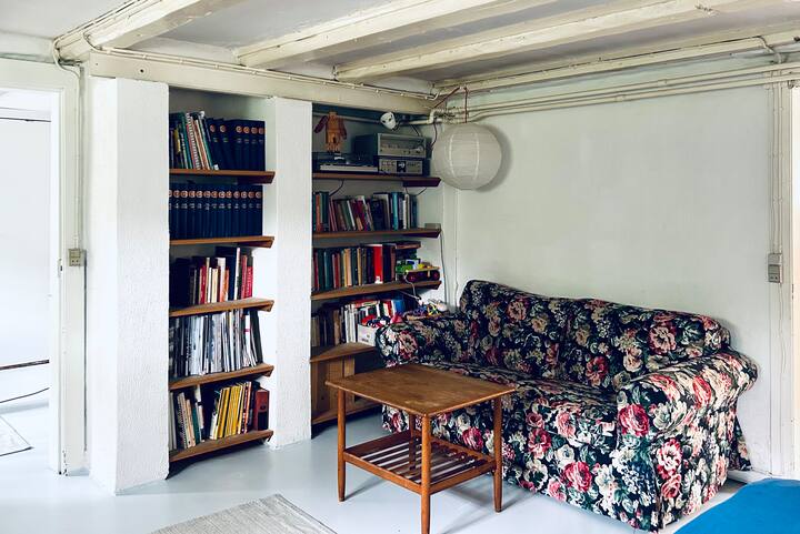 Sofa na uteuzi wa vitabu na majarida