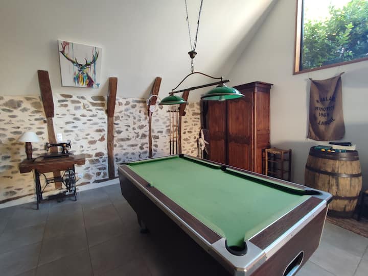 Grange Rénovée Avec Billard - Argentat-sur-Dordogne