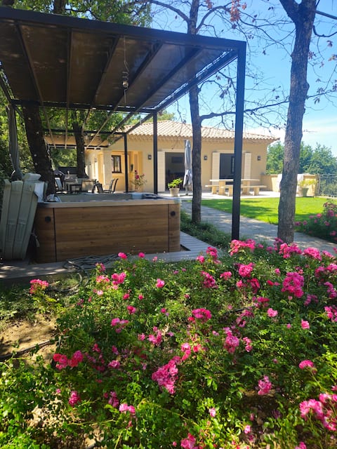 Villa with private swimming pool for 8 on Falcon