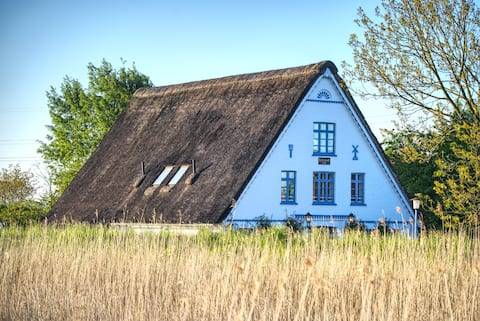 Stylish country house under thatch. Groups welcome