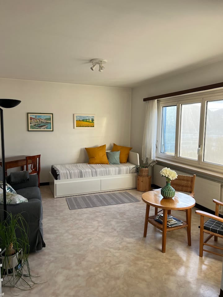 Casa Sul Lago (Super Seesicht Und Privater Garten) - Verzasca
