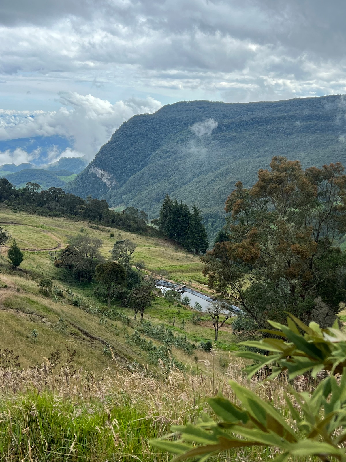 A panoramic view of rolling hills is captured, framed by lush vegetation. Mountainous terrain rises in the background, with clouds softly enveloping the peaks. A small pond is visible amidst the greenery, highlighting the natural beauty of the landscape.