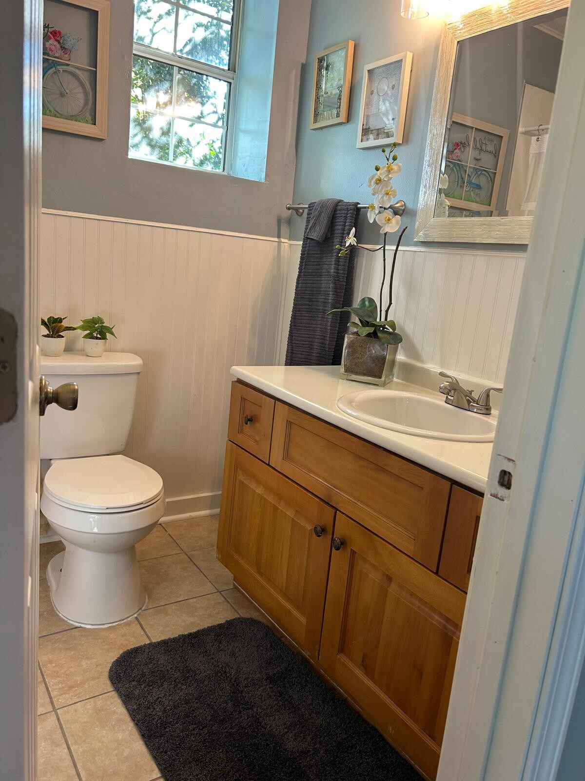 A compact bathroom features wooden cabinetry with a light-colored countertop. A white toilet is positioned adjacent to the sink area. A mirror above the sink reflects natural light from a nearby window. Decorative plants are arranged on the counter, enhancing the serene ambiance.