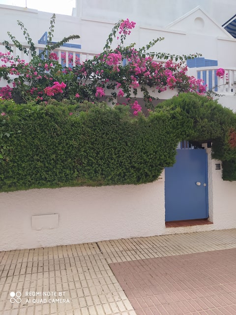 Beachfront villa with garden