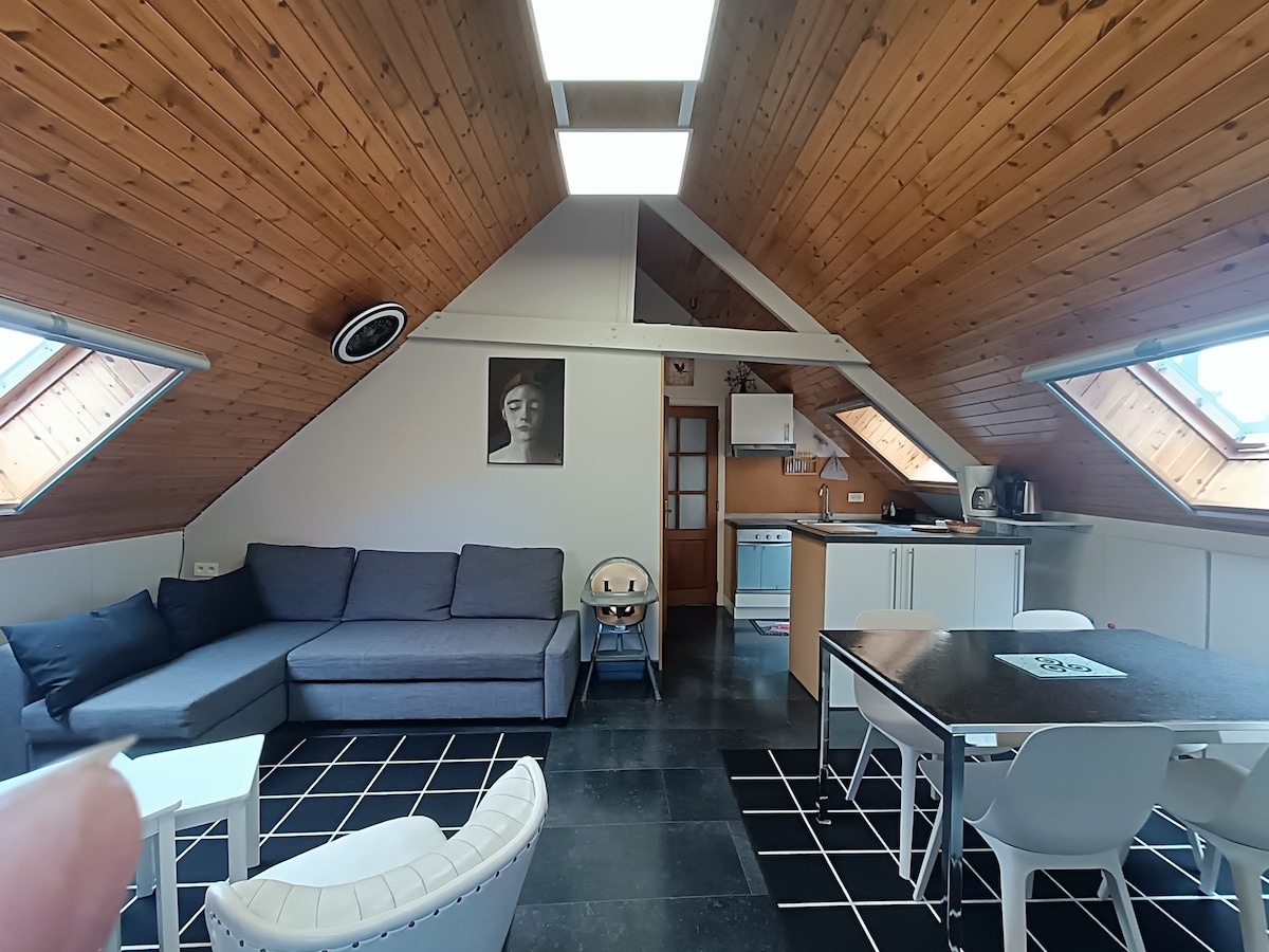 The living area features a light wood-paneled ceiling with skylights allowing natural light to enter. A spacious sectional sofa is positioned alongside a dining table with white chairs. A kitchen area is visible in the background, equipped with essential appliances.
