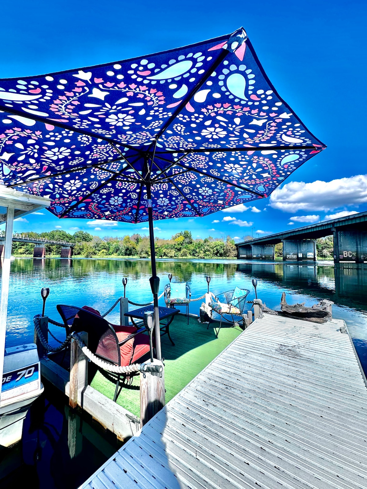 Savannah River Houseboat "Island Oasis" Houseboats for Rent in