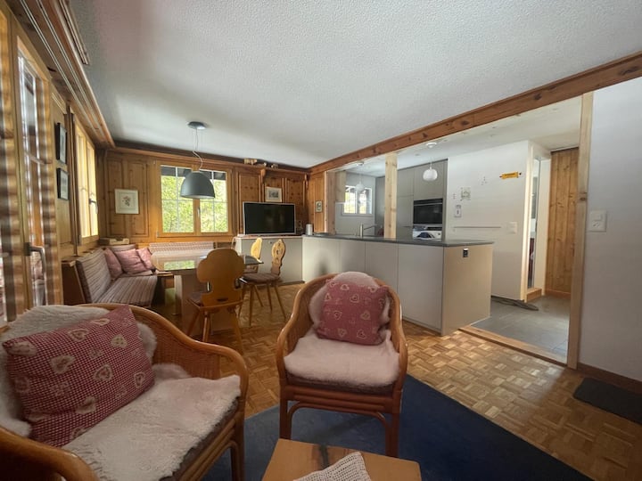 Heimelige 3-zi-wohnung In Grindelwald Mit Aussicht - Grindelwald