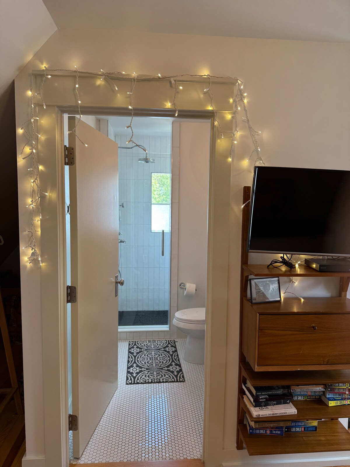 Adorable 1/1  apartment in beautiful Hyde Park