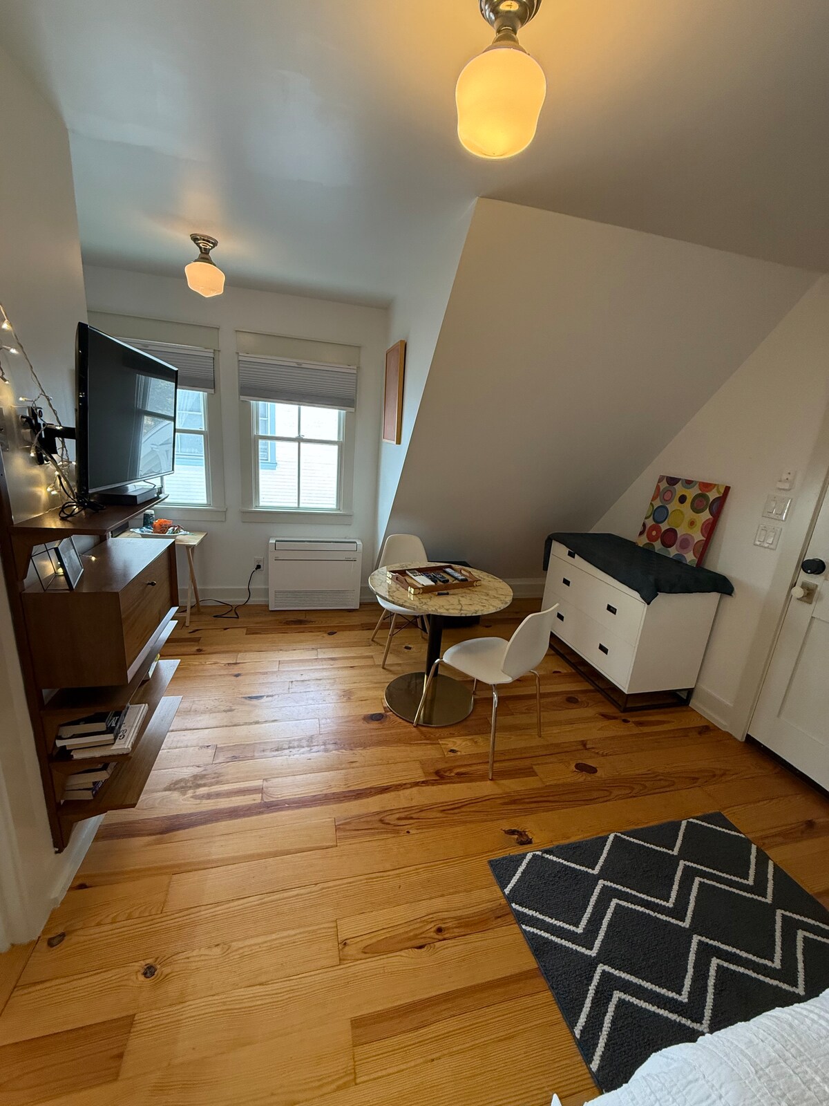 Adorable 1/1  apartment in beautiful Hyde Park