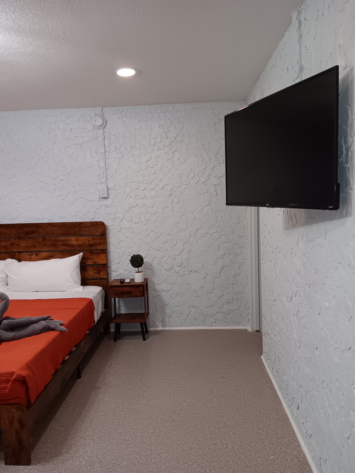 A spacious room features a king bed with a wooden headboard, complemented by a bedside table with a small plant. A large flat-screen TV is mounted on the textured light blue wall, providing entertainment options for guests.