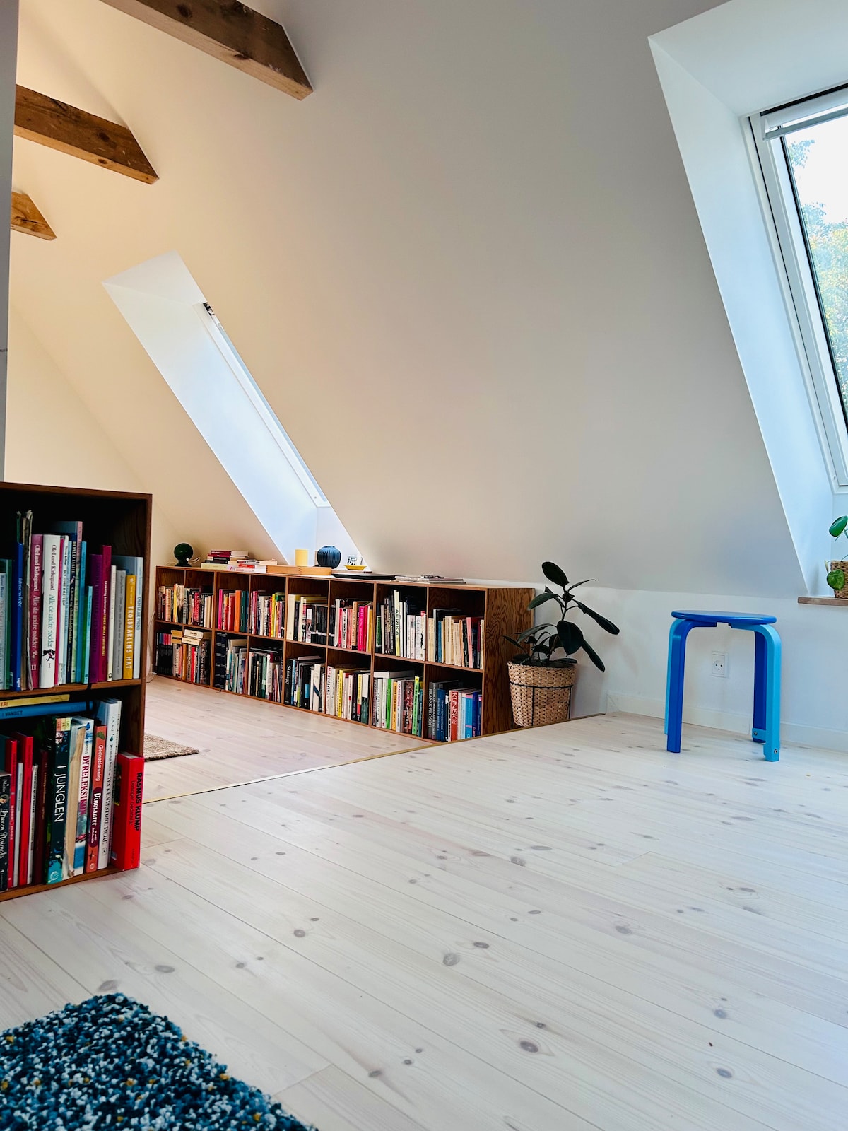 A bright and airy corner showcases a sloped ceiling with skylights, allowing natural light to fill the space. A wooden bookshelf is filled with various books, complemented by a small potted plant. A blue stool adds a pop of color to the light wooden floor.