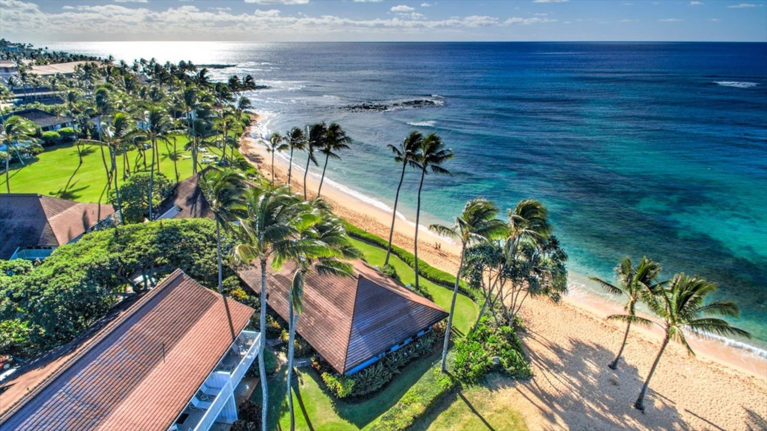 Condo in Koloa · ★4.96 · 2 bedrooms · 5 beds · 2 baths - Photo 49