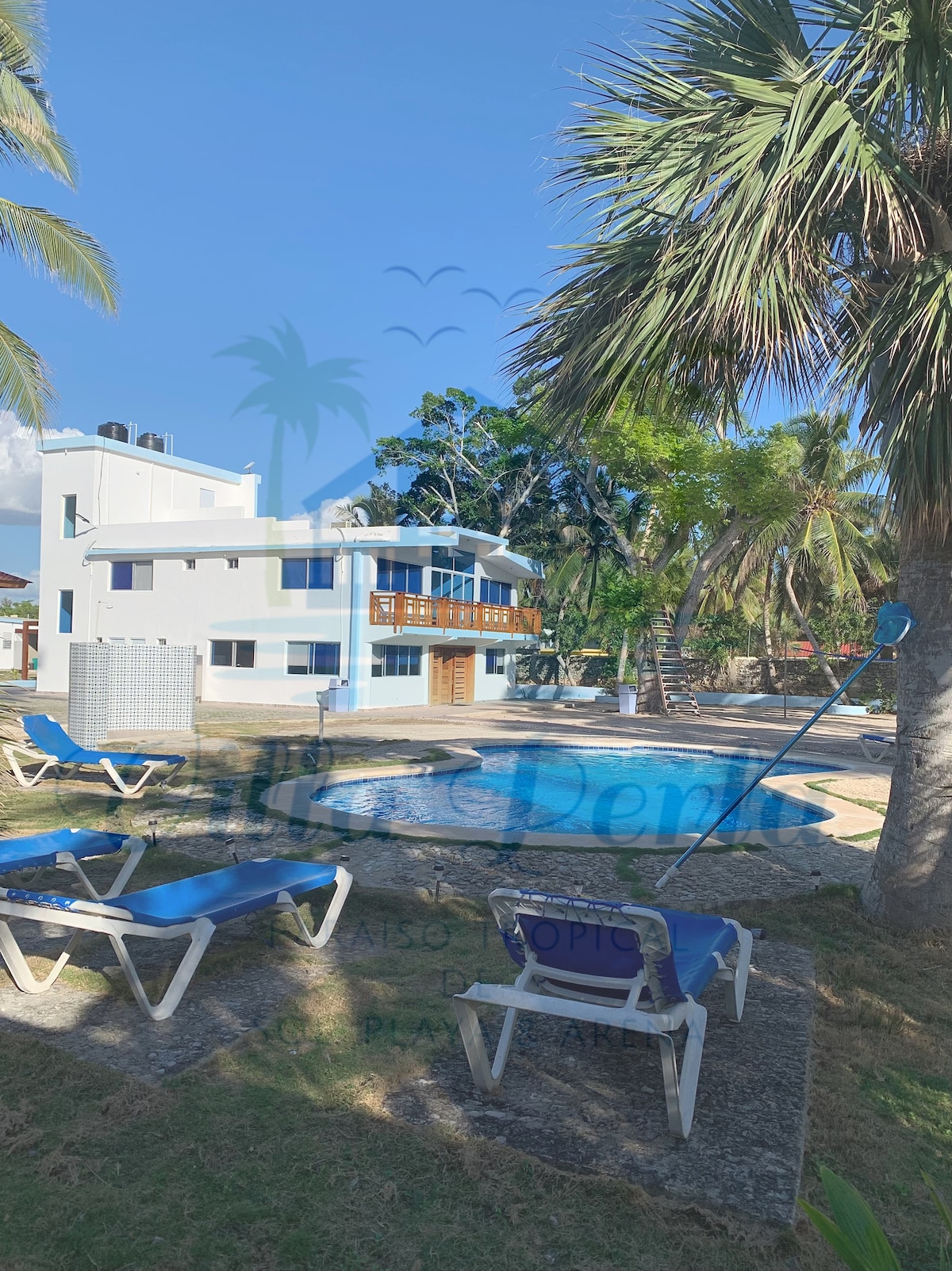 The image captures a spacious outdoor area featuring a refreshing pool surrounded by lounge chairs. Palm trees and tropical greenery create a natural backdrop for the villa, which is visible in the background showcasing multiple levels and balconies.