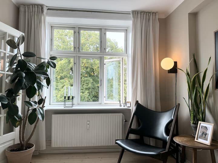 Assistens View – Nørrebro, Copenhagen At Its Best! - コペンハーゲン