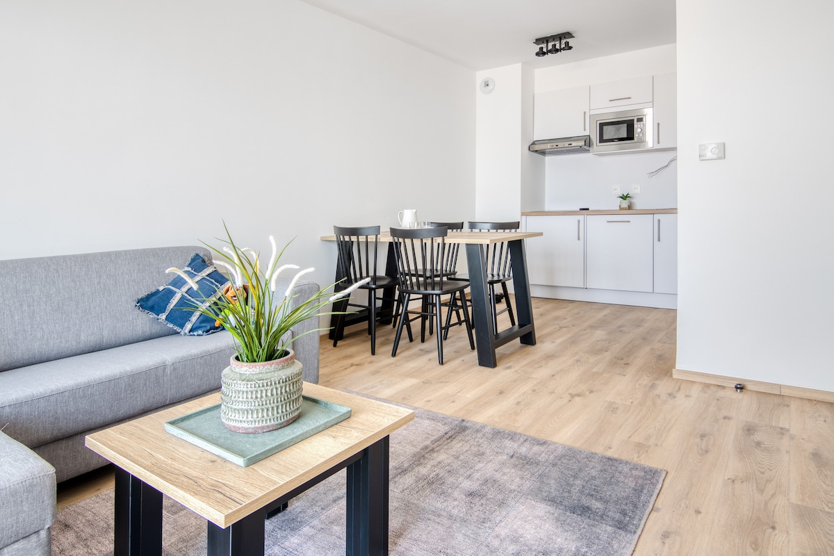 Appartement confort, lit double et 2 lits simples