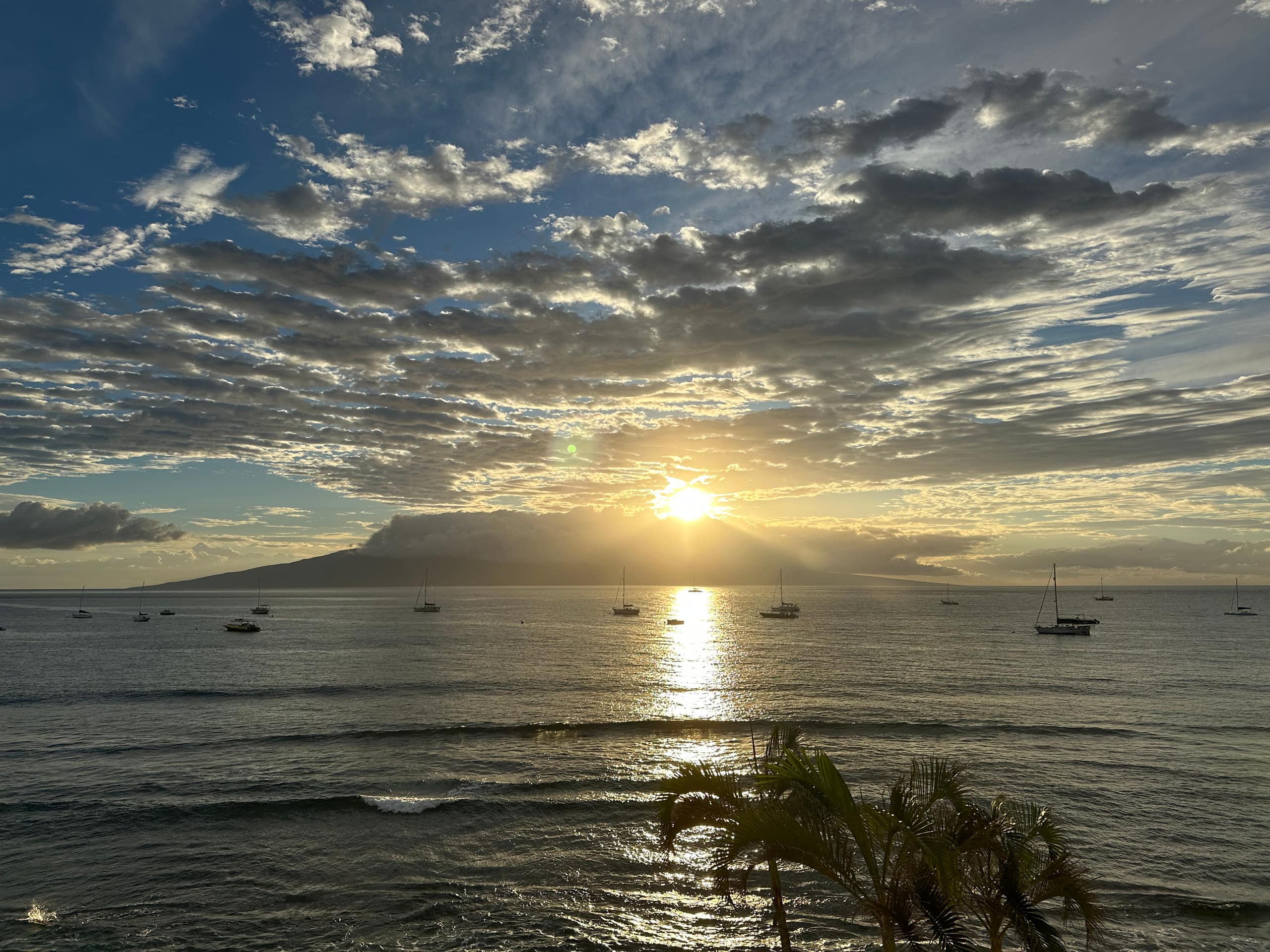 Condo in Lahaina · ★4.94 · 1 bedroom · 2 beds · 1 bath - Image 45
