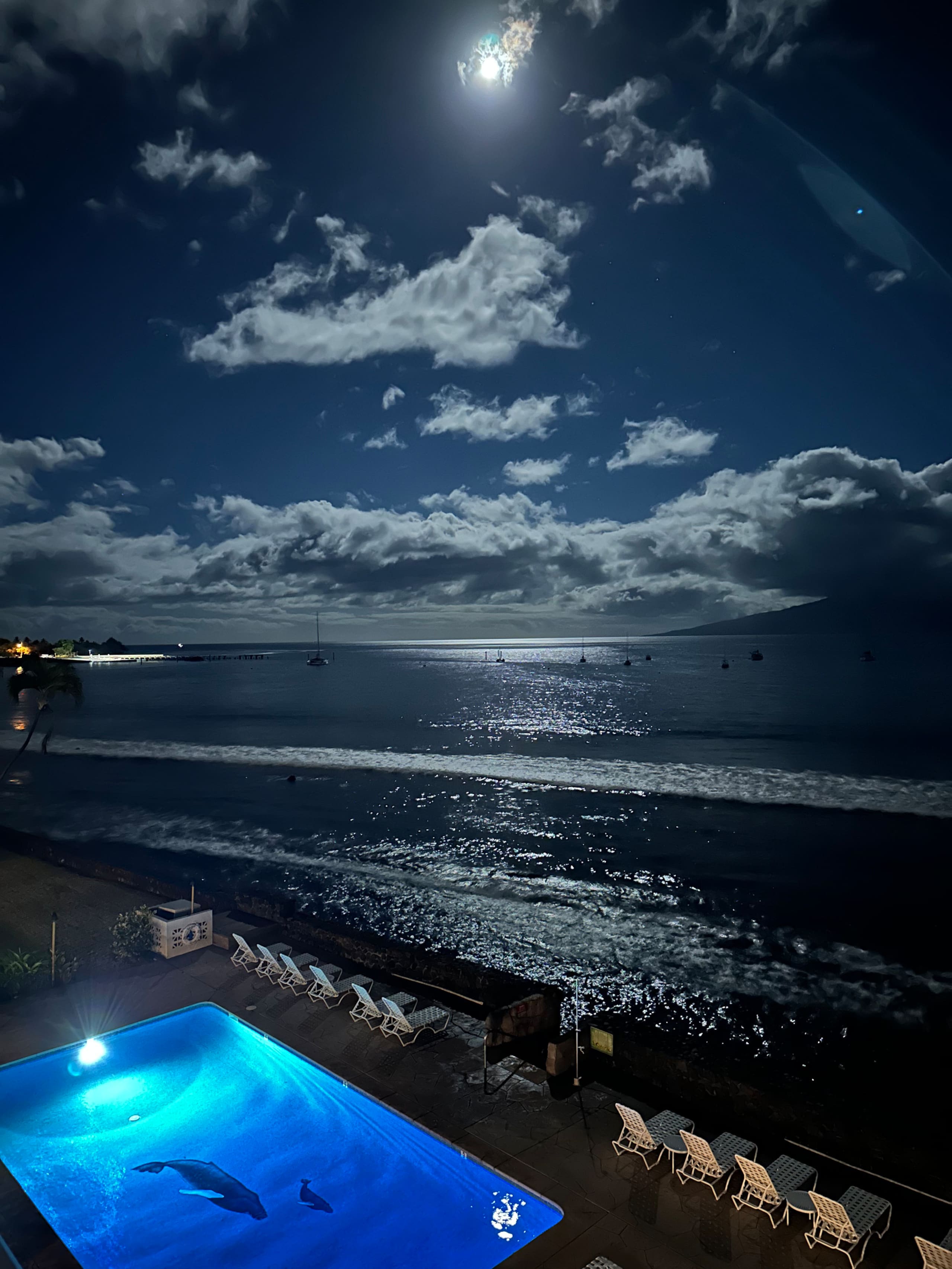 Condo in Lahaina · ★4.94 · 1 bedroom · 2 beds · 1 bath - Image 40