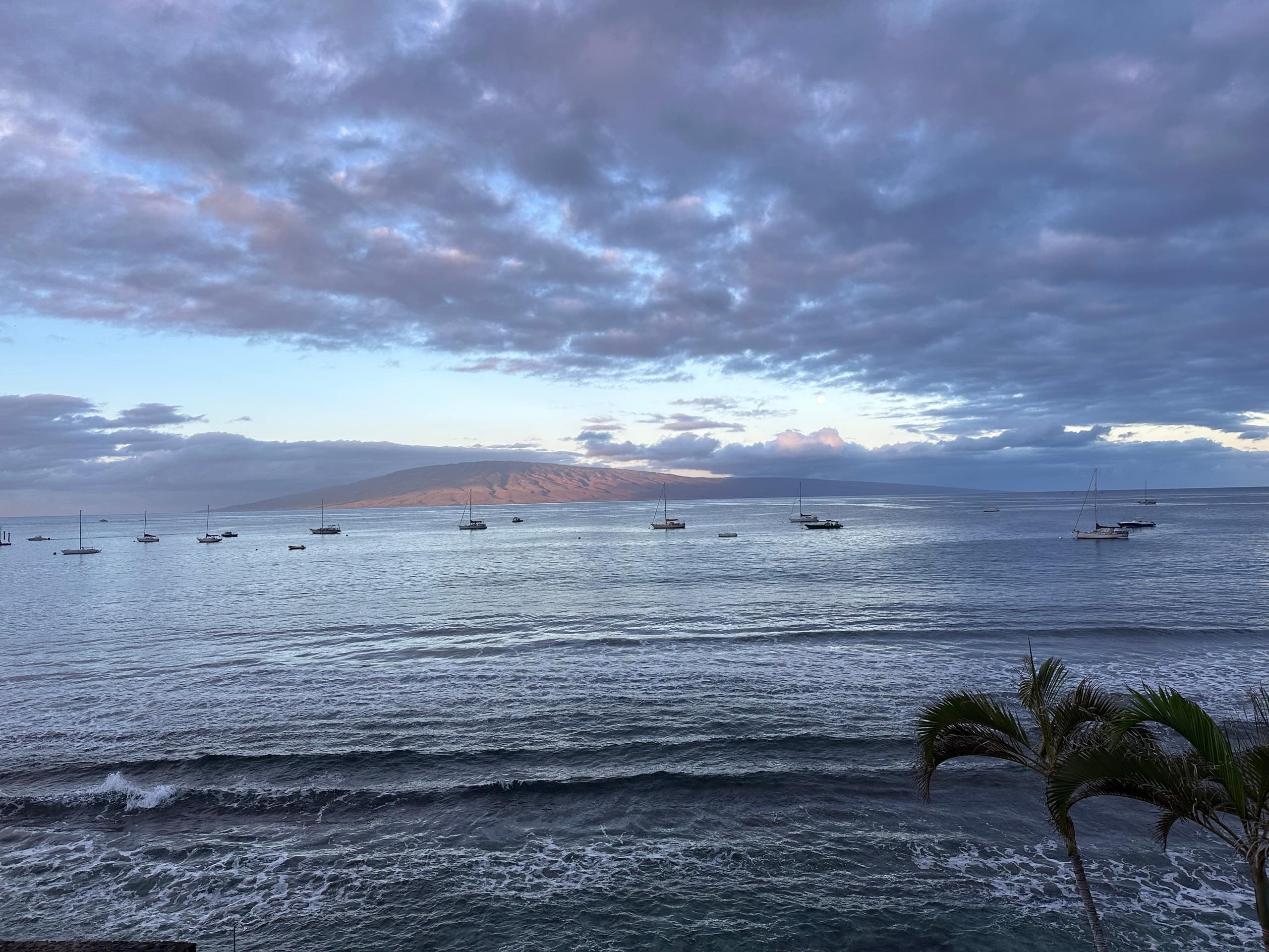 Condo in Lahaina · ★4.94 · 1 bedroom · 2 beds · 1 bath - Image 44