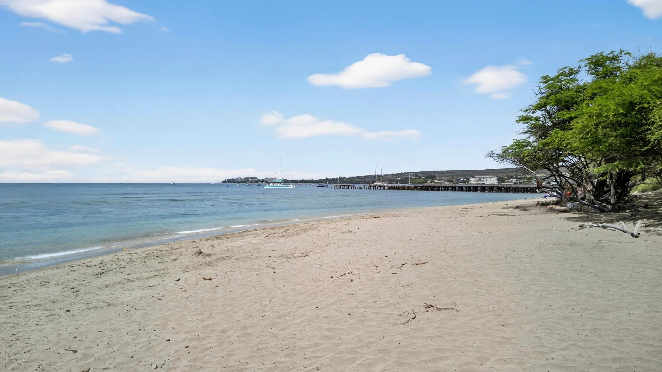 Condo in Lahaina · ★4.94 · 1 bedroom · 2 beds · 1 bath - Image 42
