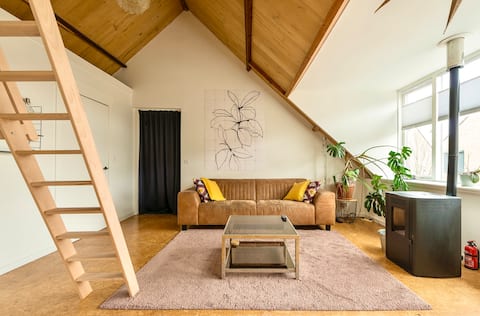 Spacious apartment near the city center with sauna