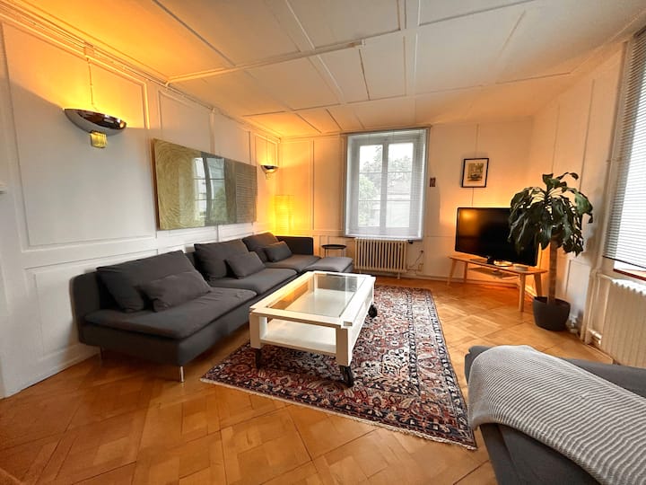 Charming flat with Garden - 25’ to Zurich Center