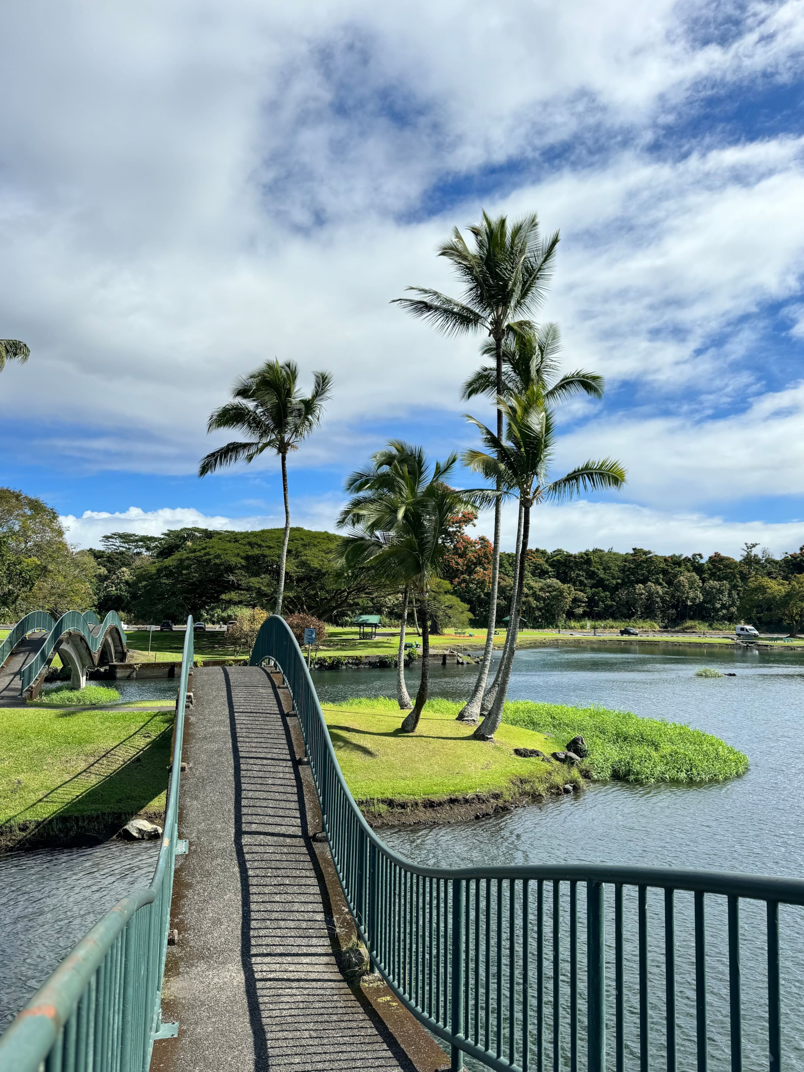 Condo in Hilo · ★4.69 · Studio · 1 bed · 1 private bath - Image 19