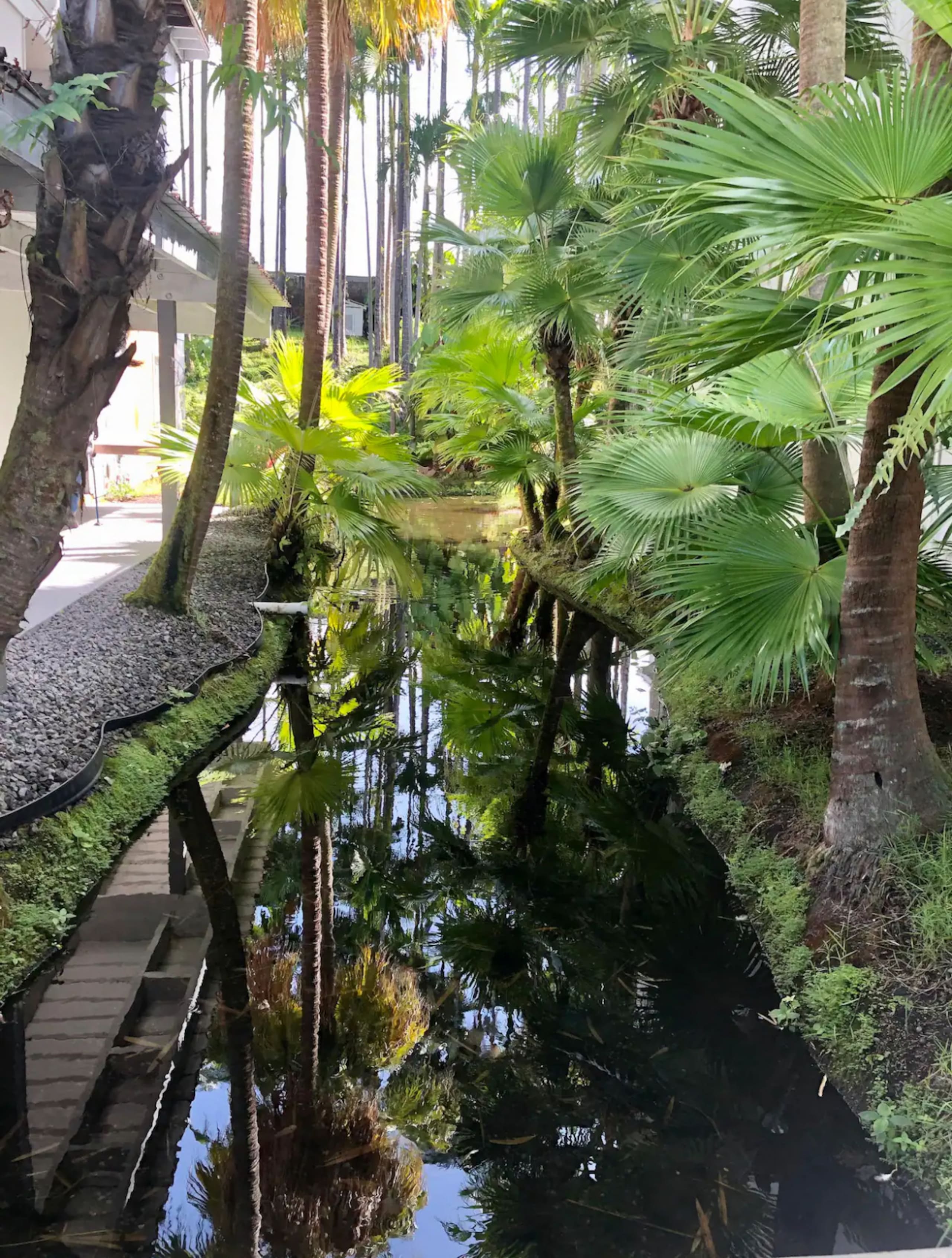 Condo in Hilo · ★4.69 · Studio · 1 bed · 1 private bath - Image 14