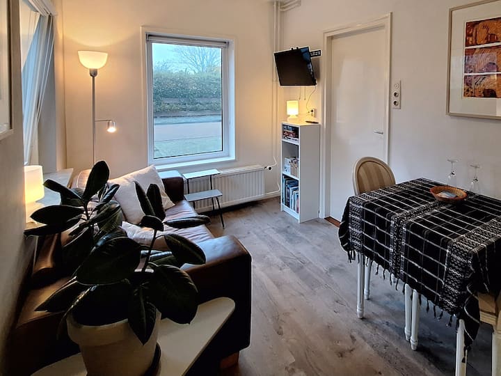 Rustig 2 Persoons Appartement In Renesse. - Renesse